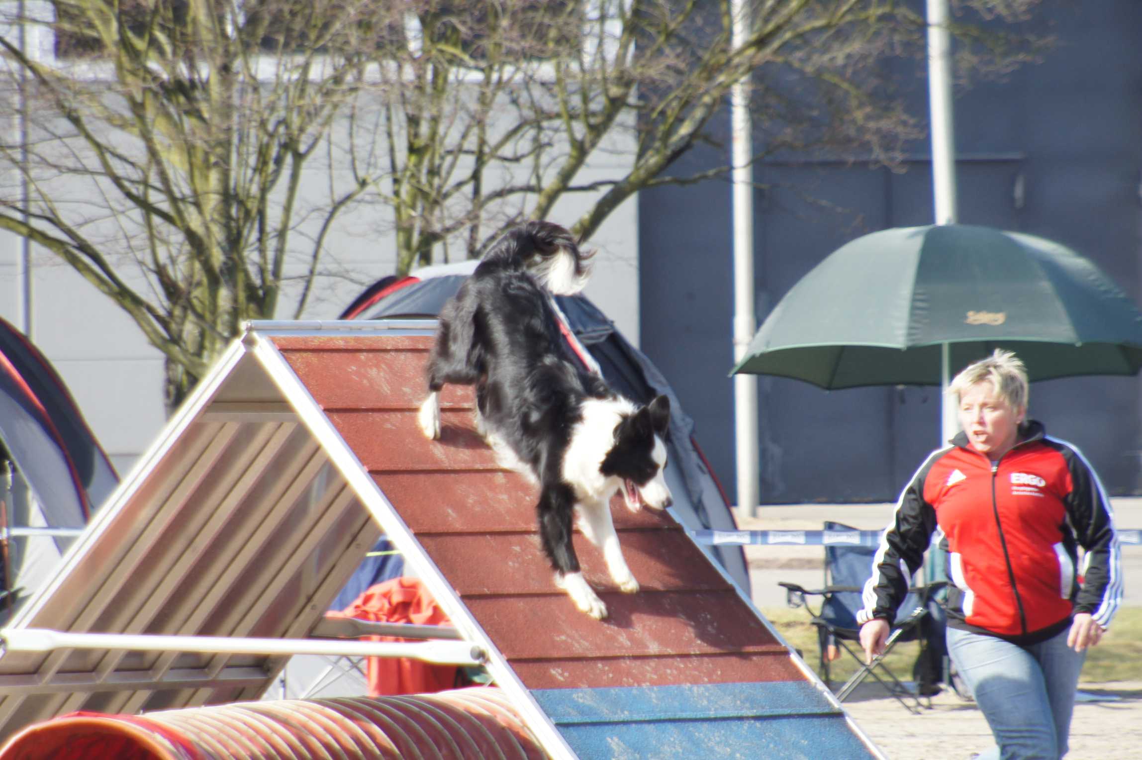 agility_turnier_3_2012-022