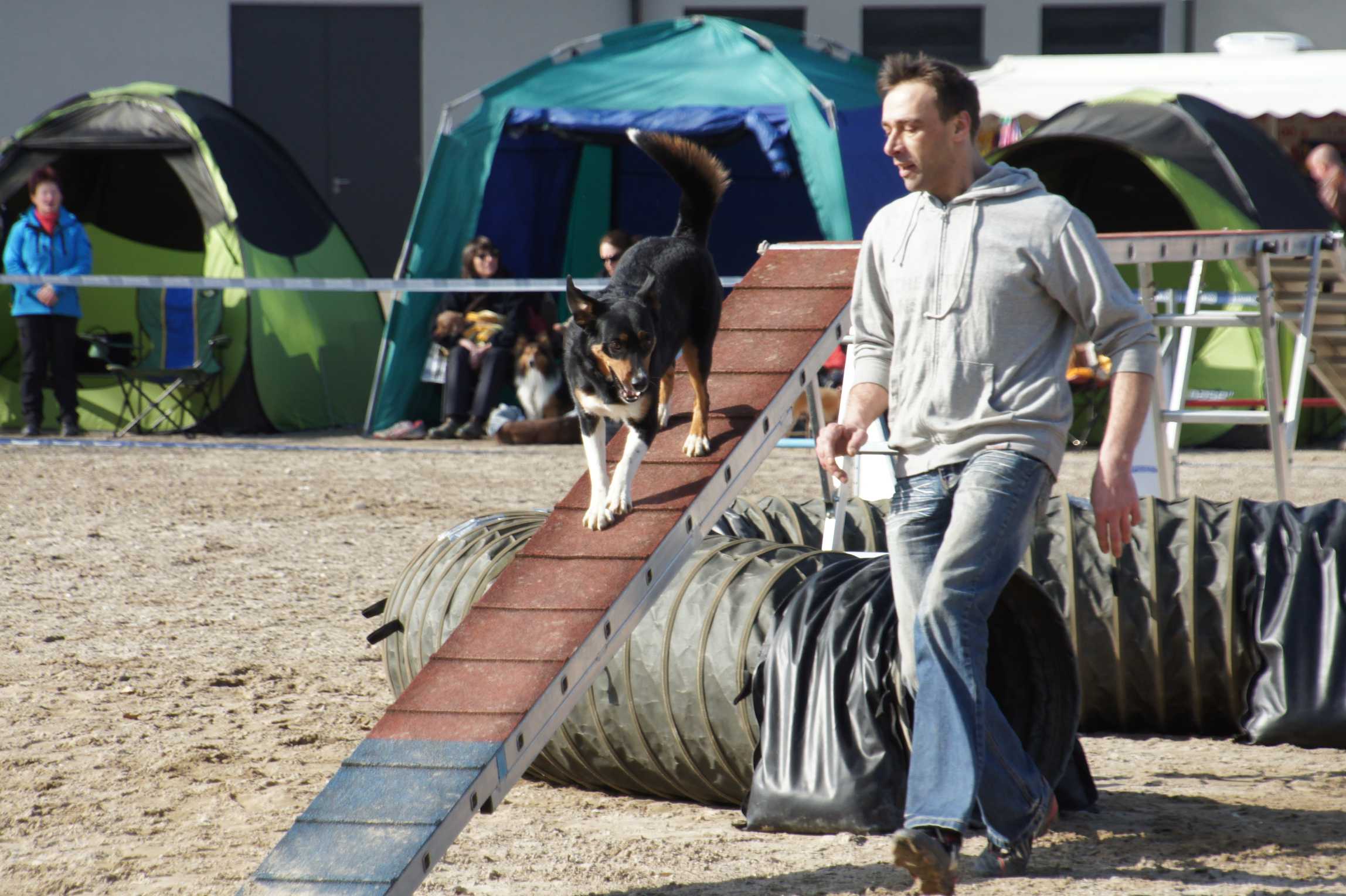 agility_turnier_3_2012-031