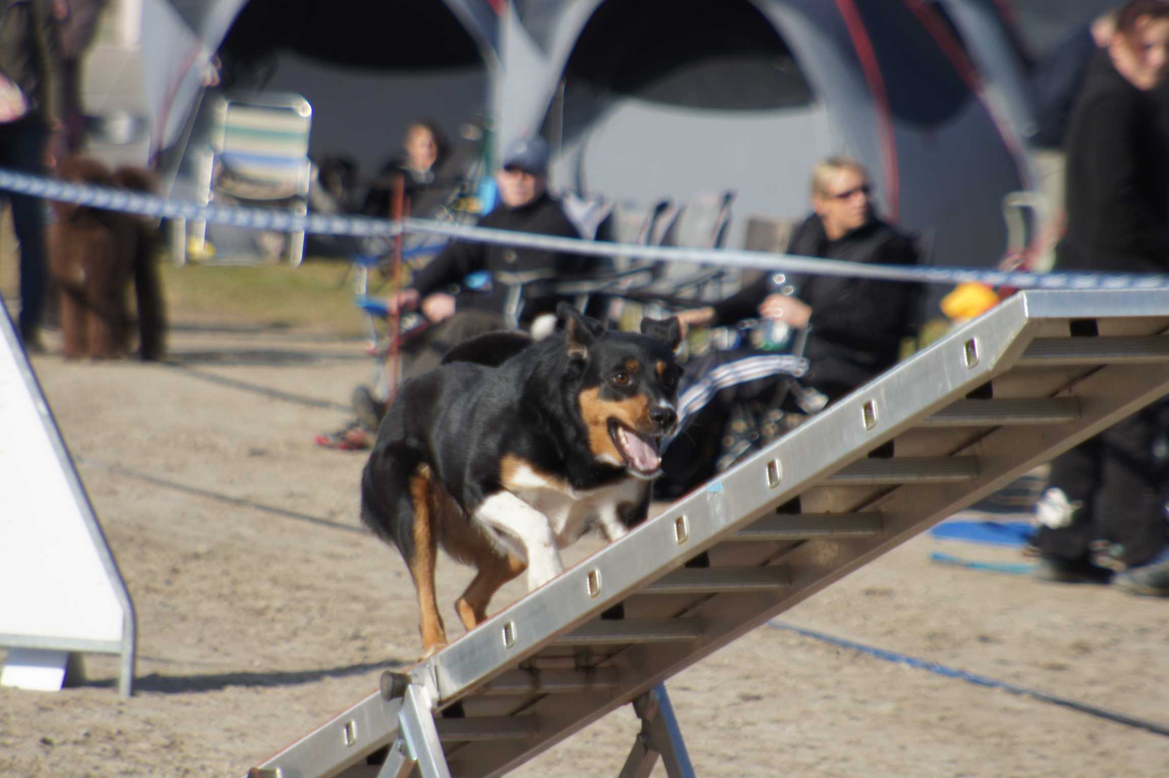 agility_turnier_3_2012-038