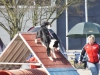 agility_turnier_3_2012-022