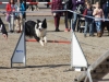 agility_turnier_3_2012-023