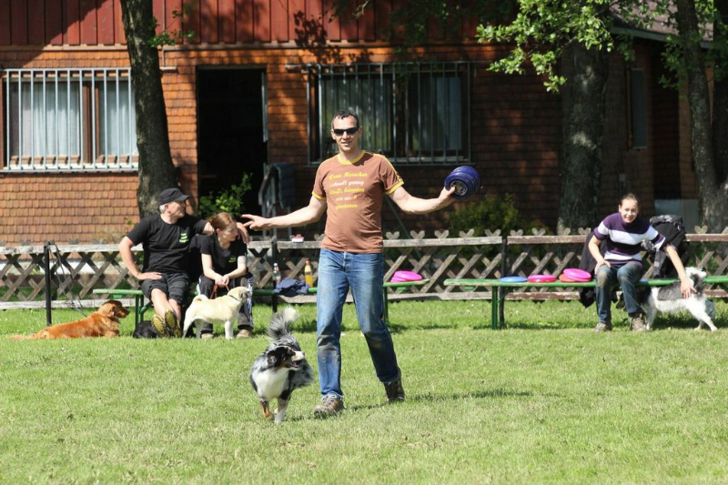 discdog-seminar-juni-2013-001