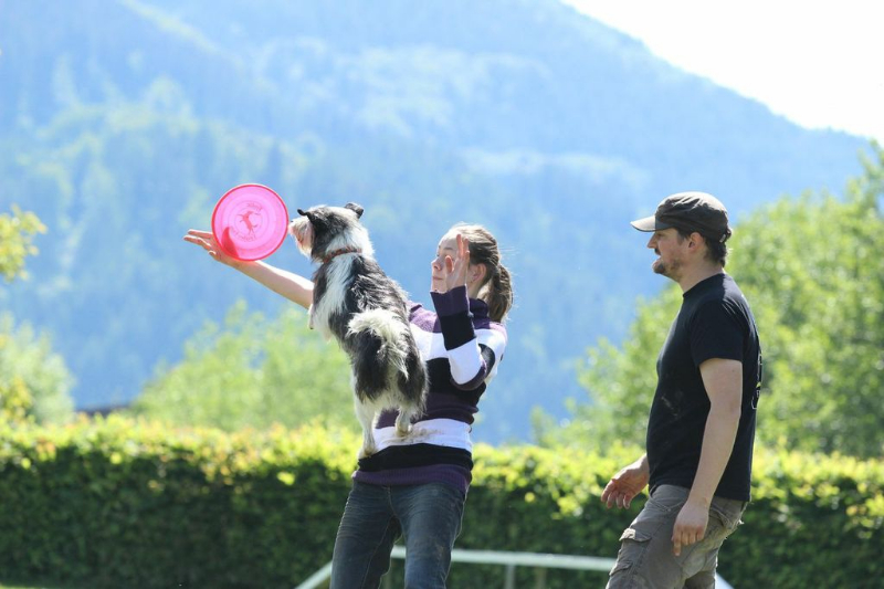 discdog-seminar-juni-2013-005