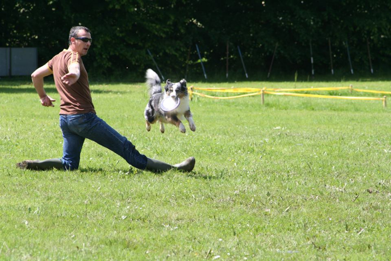 discdog-seminar-juni-2013-013