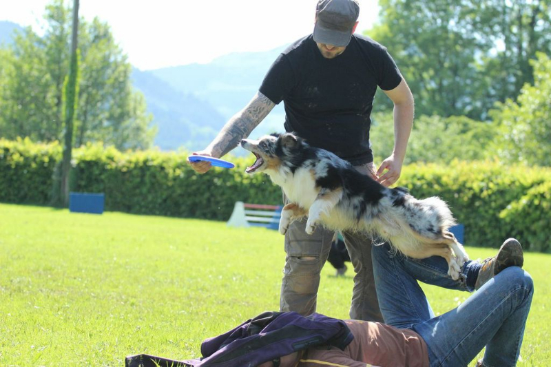 discdog-seminar-juni-2013-014