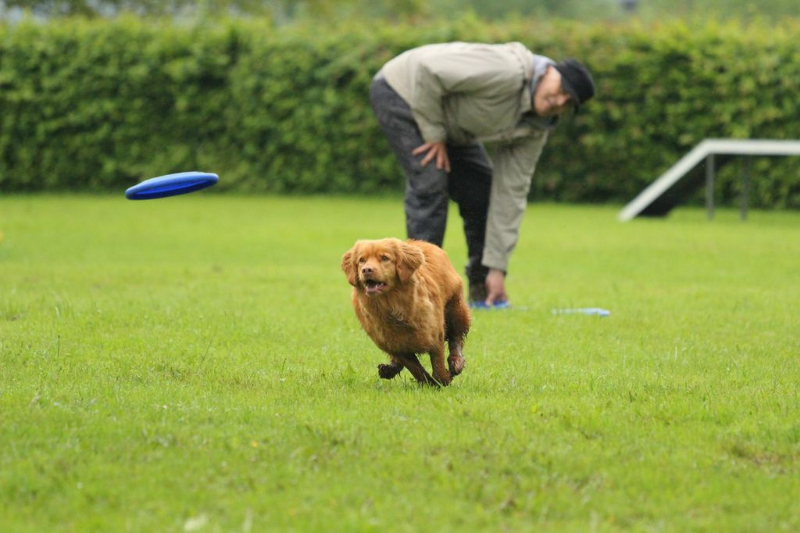 discdog-seminar-juni-2013-020