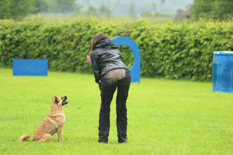 discdog-seminar-juni-2013-026