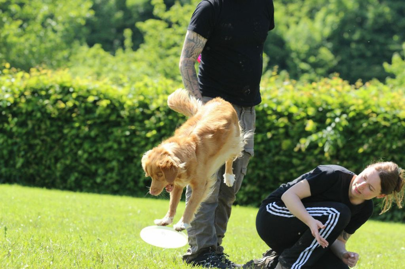 discdog-seminar-juni-2013-031