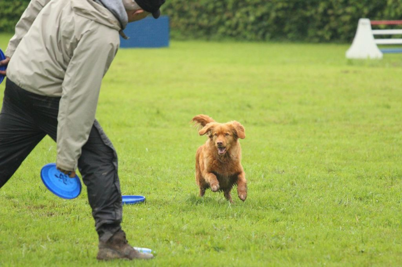 discdog-seminar-juni-2013-032