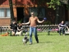 discdog-seminar-juni-2013-001