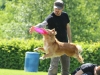 discdog-seminar-juni-2013-010