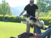 discdog-seminar-juni-2013-014