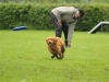 discdog-seminar-juni-2013-020