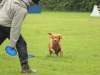 DiscDog Seminar Juni 2013