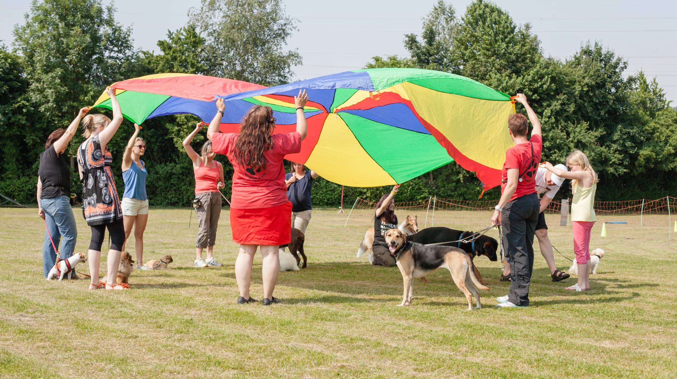 impressionen-tag-des-hundes-2-von-23