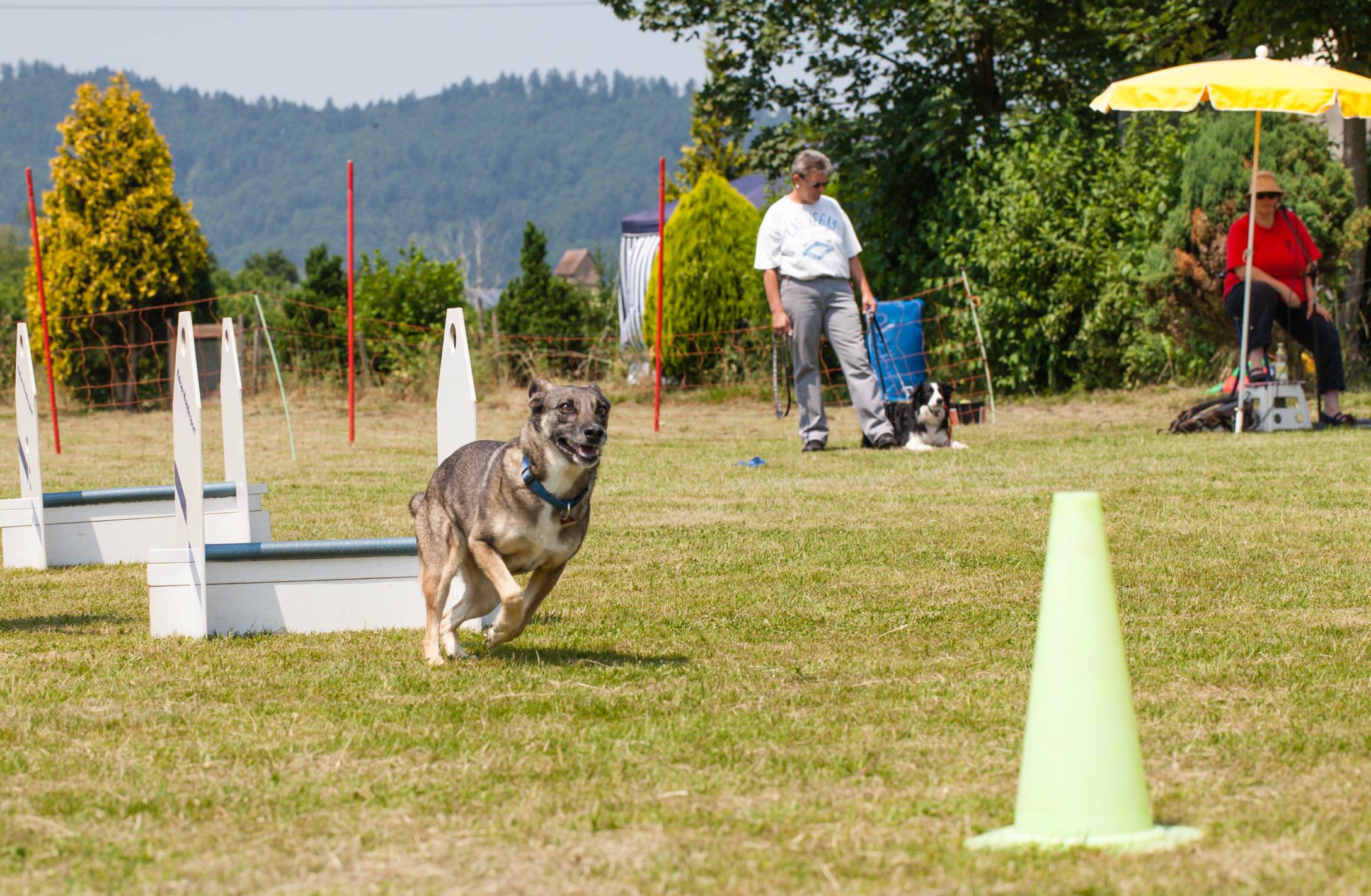 impressionen-tag-des-hundes-21-von-23