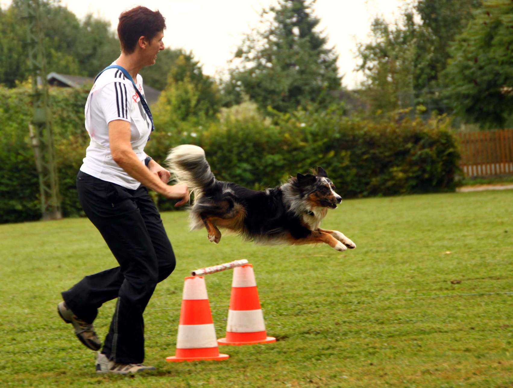 sabine-mit-legacy-beim-huerdenlauf-4